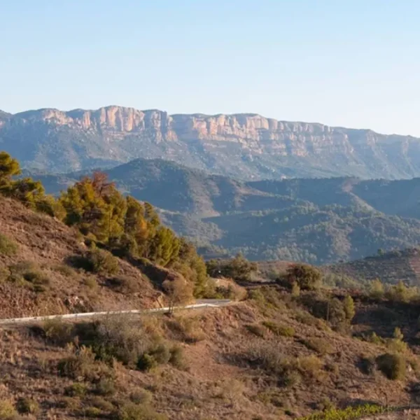 PROFFS PÅ PRIORAT - EN HELKVÄLL