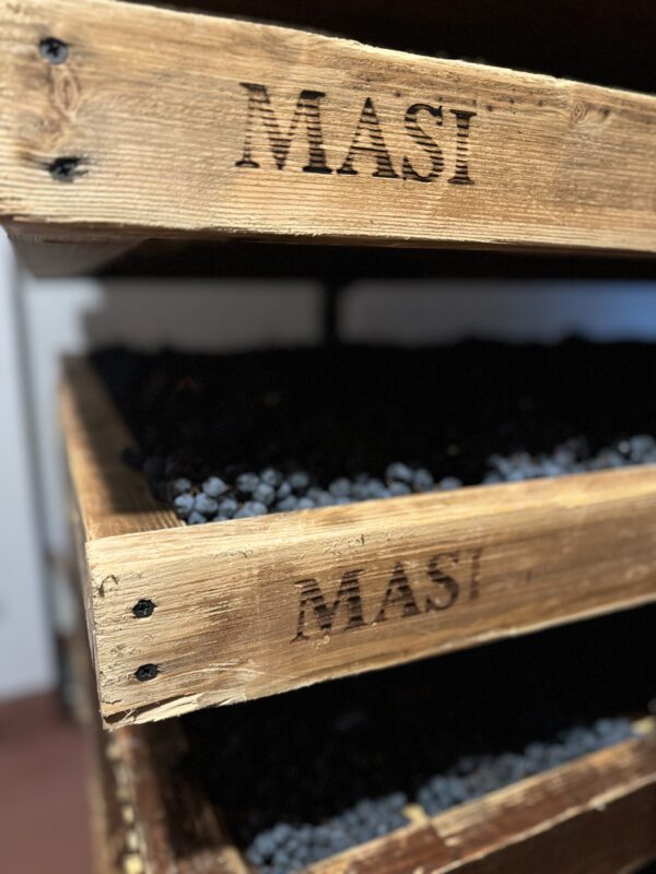 AMARONE - Bild 6